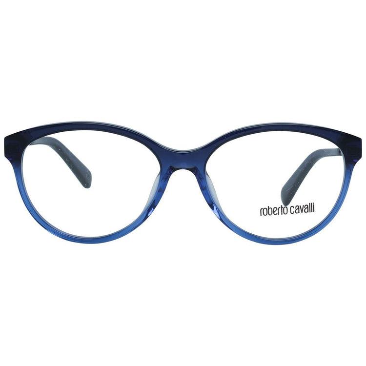 Blue Metal Glasses (Frames)