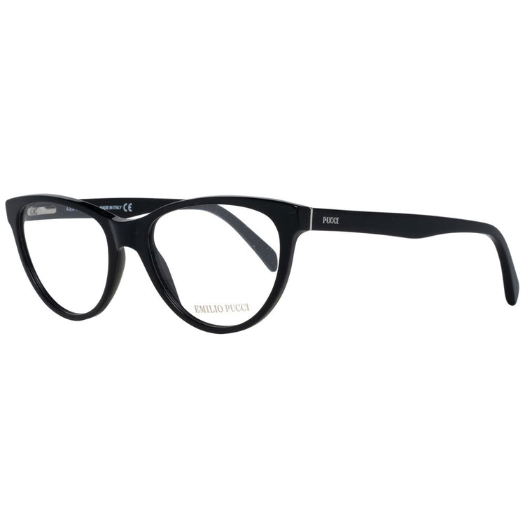 Black Plastic Glasses (Frames)