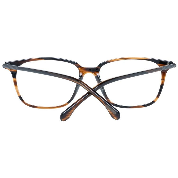 Brown Plastic Glasses (Frames)